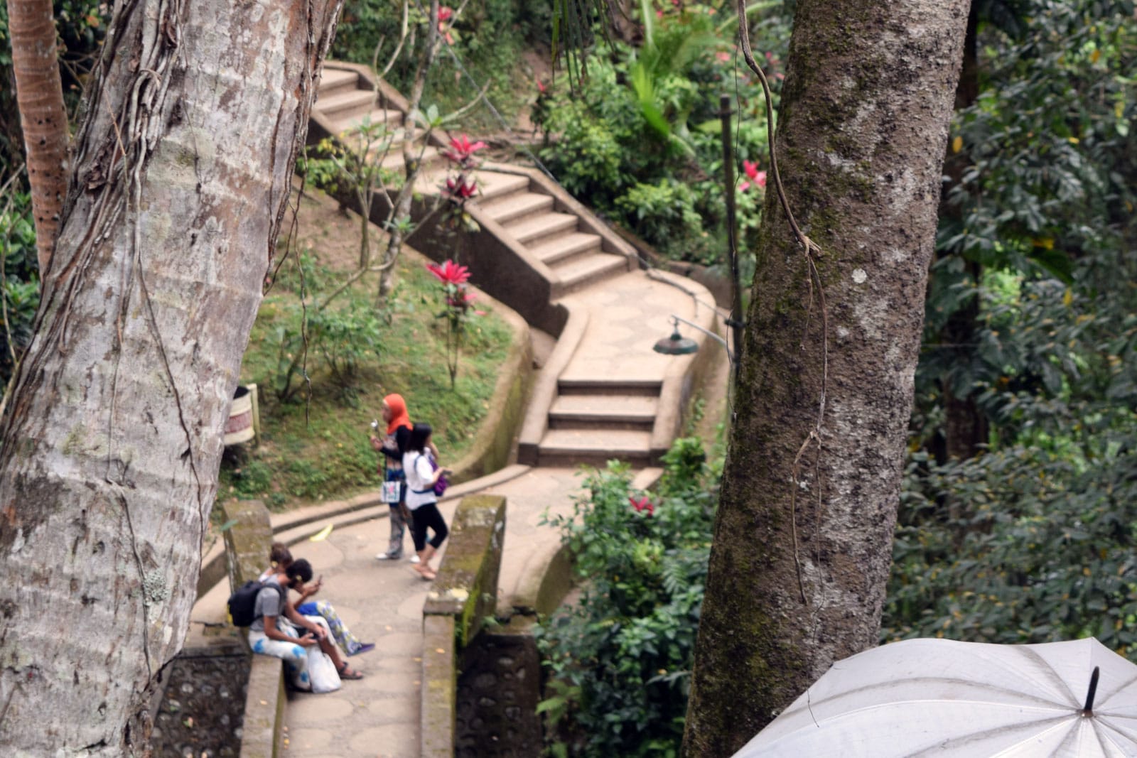 De trap richting het bos van de olifantengrot