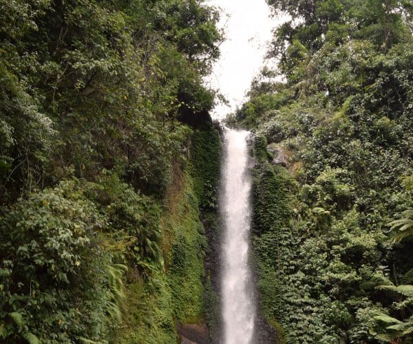 De Gitgit waterval in Bali