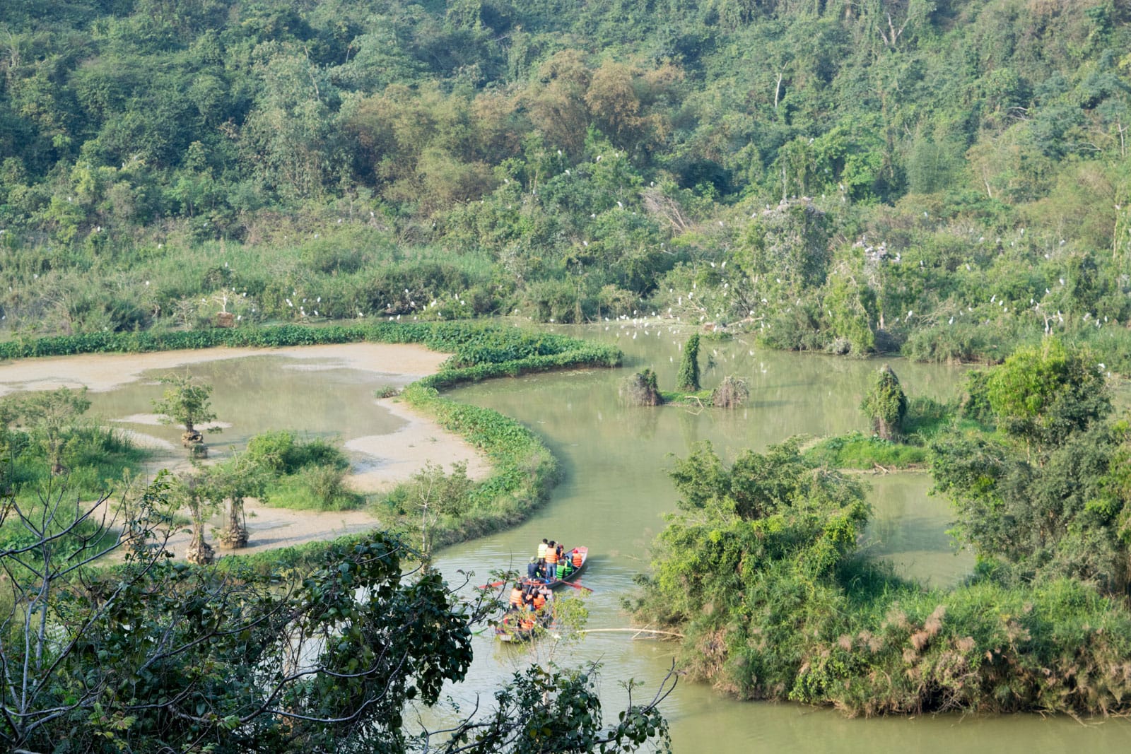 Ninh Binh - Bird Park