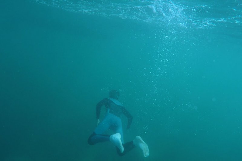 Duiken in Myanmar (ontdek waar je kunt duiken met walvishaaien)