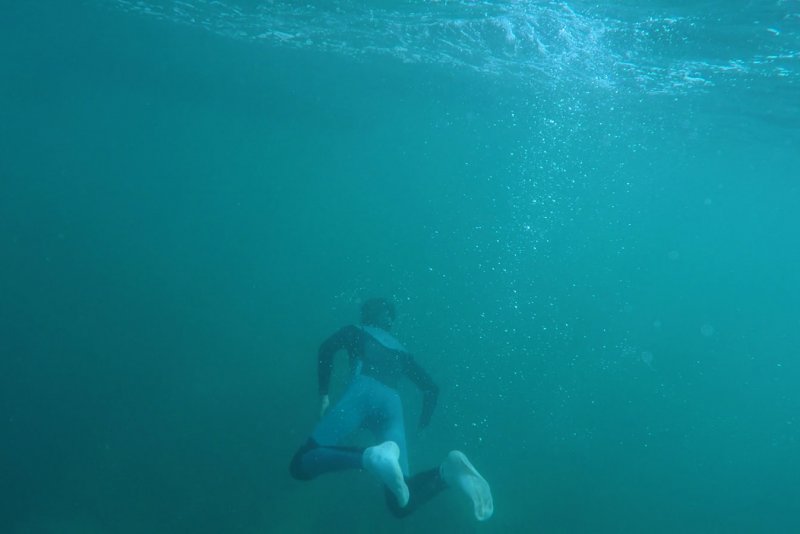 Duiken in Nieuw Zeeland (duik in fjorden, met zeehonden en wrakstukken)