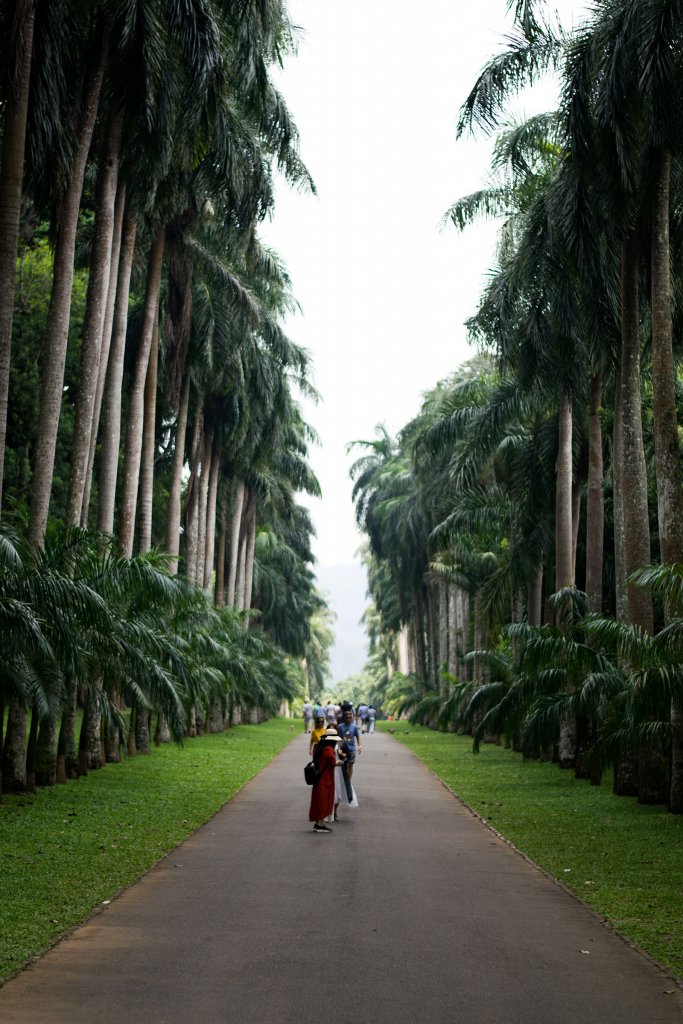 Botanische tuin Kandy