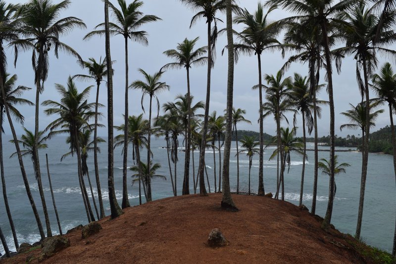 Geniet in Mirissa: Strandjes, cocktails & lekker eten