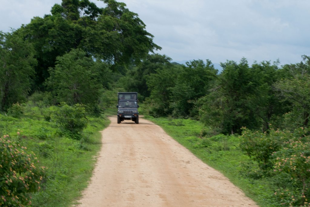 Jeepsafari in Yala National Park