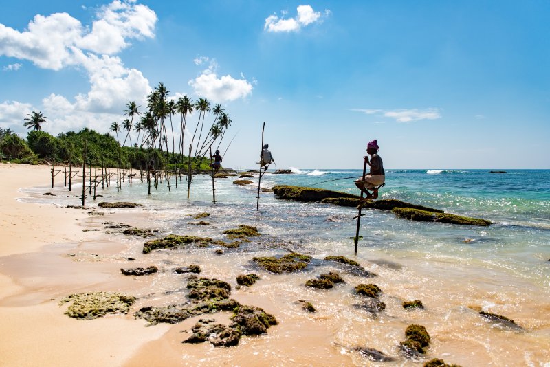 Wanneer reis jij het beste naar Sri Lanka? (de beste reistijd voor Sri Lanka)