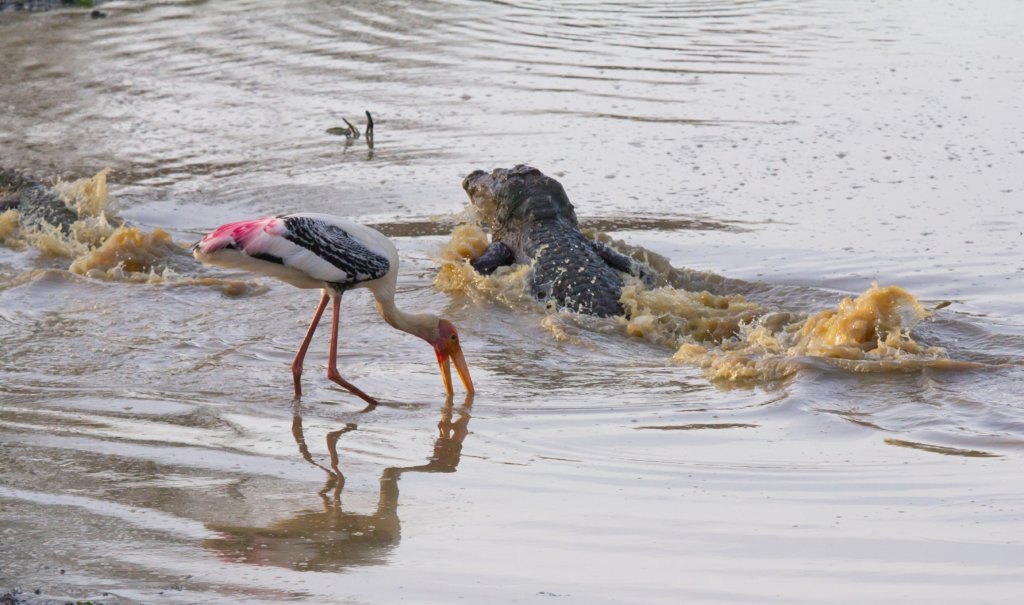 Sri Lanka national park