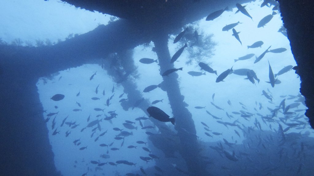 Snorkelen Bali