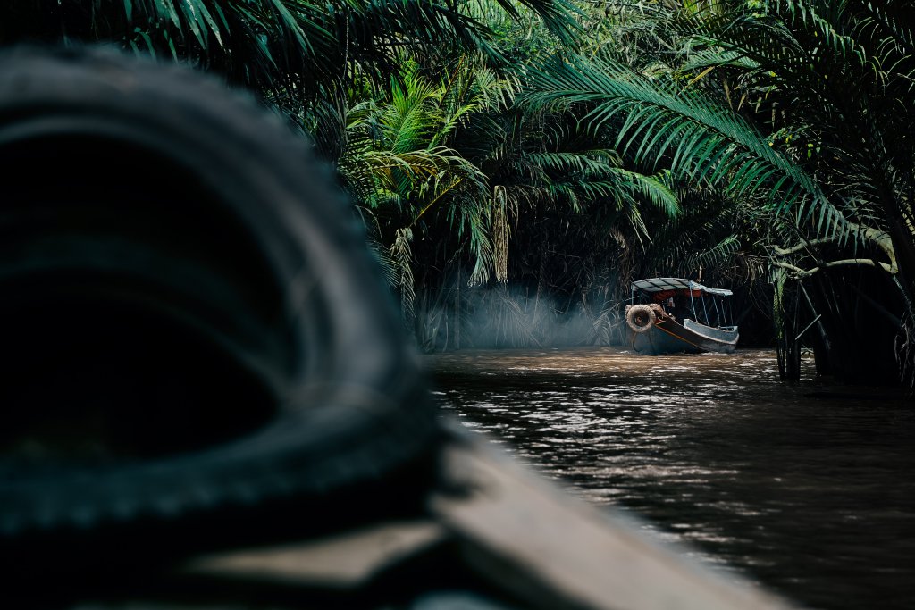 Mekong Delta