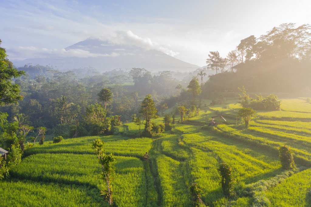 Rijstvelden bij Jalan in de buurt in Bali