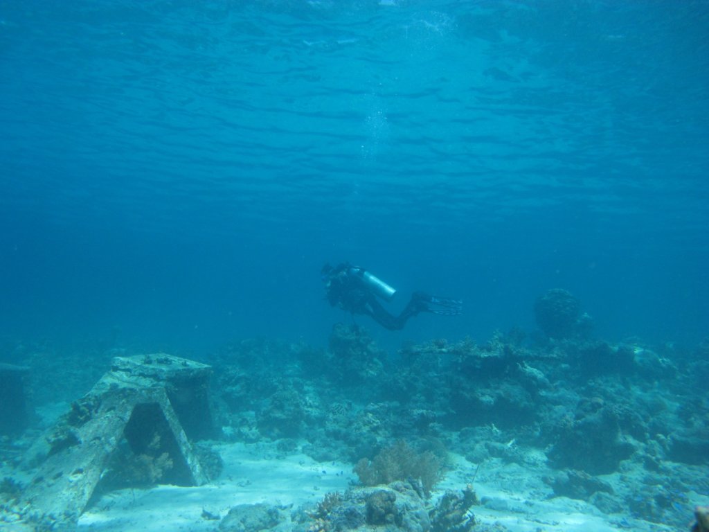 Bali duiken in Menjangan