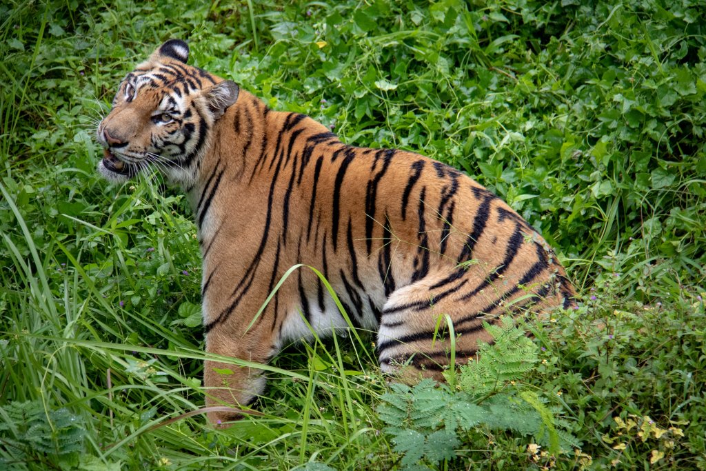 dierenparken in Bali