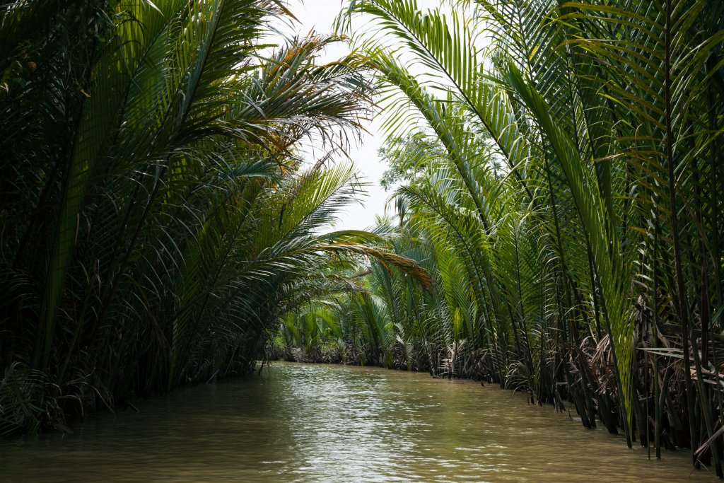 Mekong Delta in Vietnam