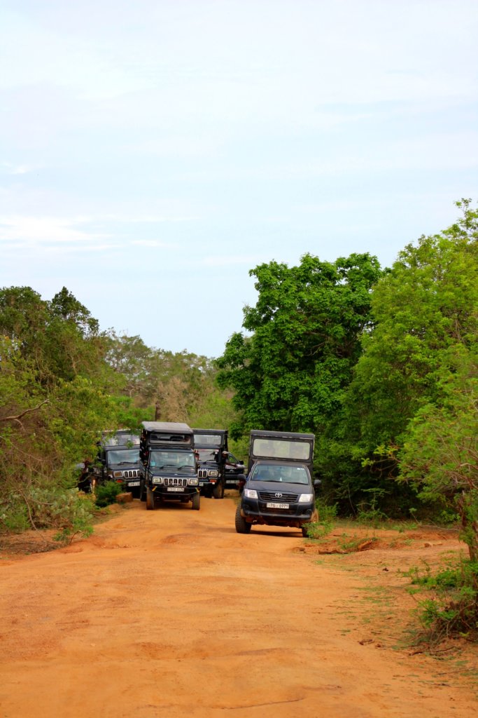 Sri Lanka national park