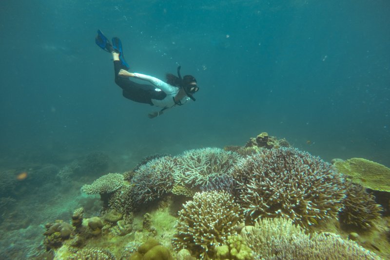 Snorkelen in Thailand (10 mooiste locaties, beste tijd en veiligheid)